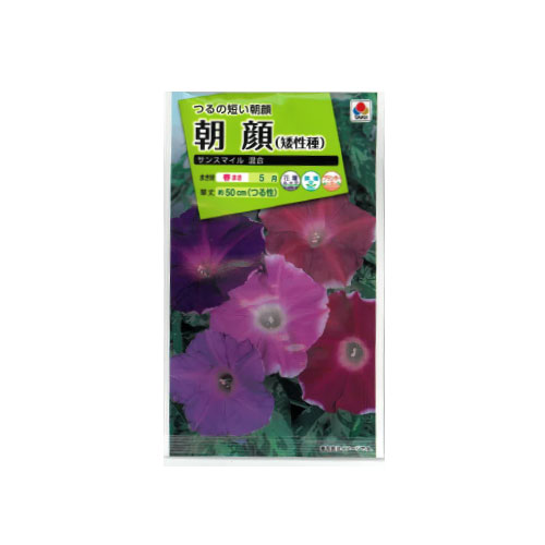 【ネコポス対応】 朝顔 サンスマイル 混合
