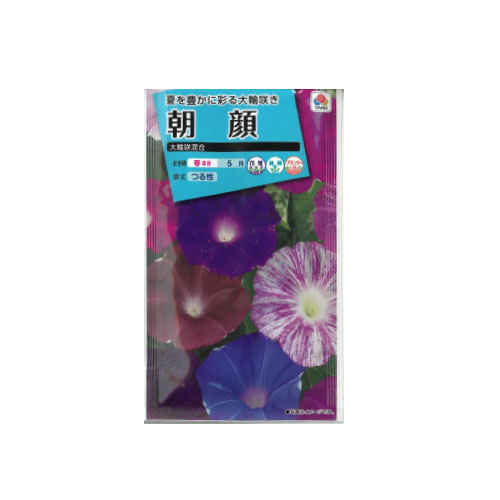 【ネコポス対応】 朝顔 大輪咲き 混合