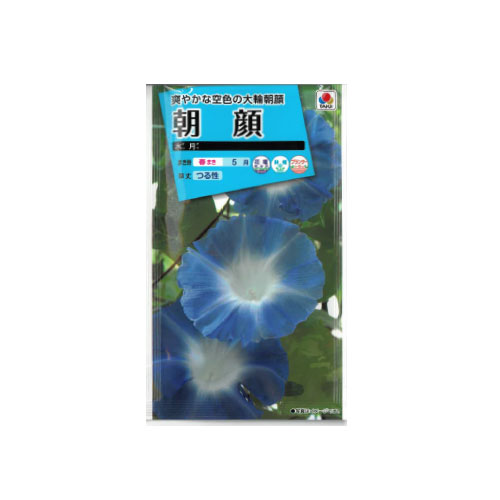 【ネコポス対応】 朝顔 水月