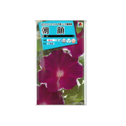 【ネコポス対応】 朝顔 紅冠