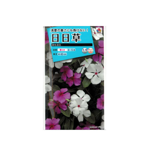 【ネコポス対応】 日日草 高性混合