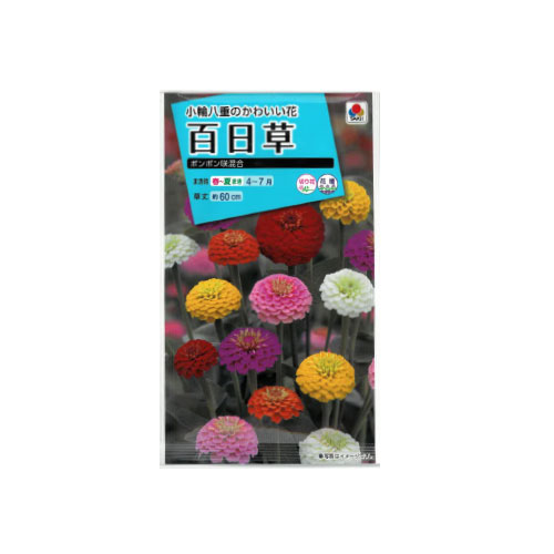 【ネコポス対応】 百日草 ポンポン咲混合
