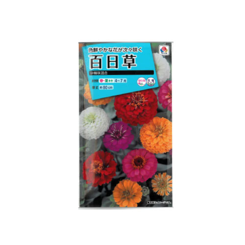 【ネコポス対応】 百日草 中輪咲混合