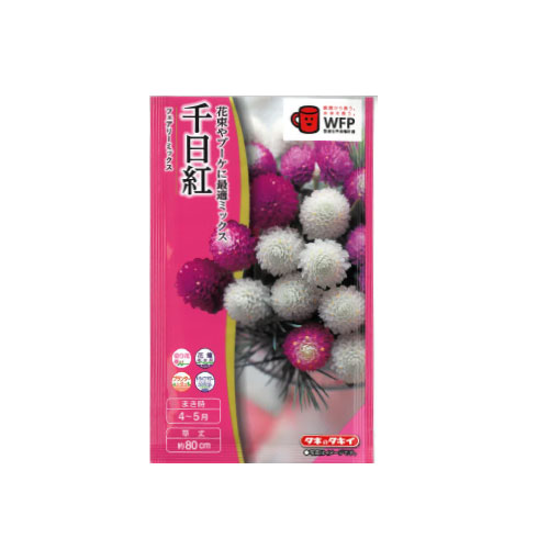 【ネコポス対応】 千日紅 フェアリーミックス