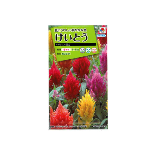 【ネコポス対応】 ケイトウ キャッスル混合