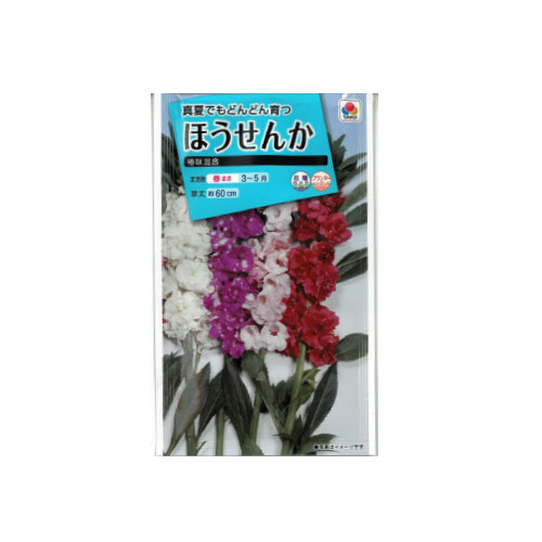 【ネコポス対応】 ほうせんか 椿咲混合