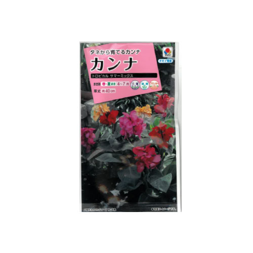 【ネコポス対応】 カンナ トロピカルサマーミックス