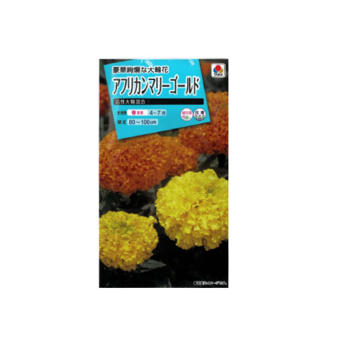 【ネコポス対応】 アフリカンマリーゴールド 高性大輪混合