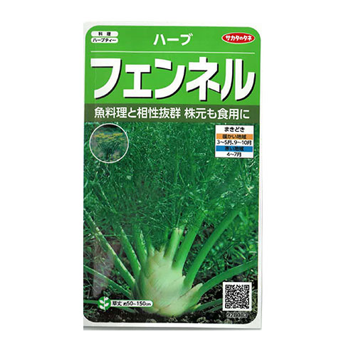 サカタのタネ　フェンネル