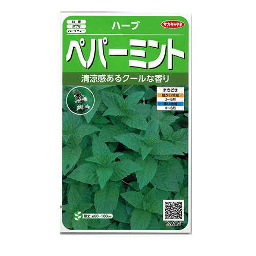 サカタのタネ　ペパーミント
