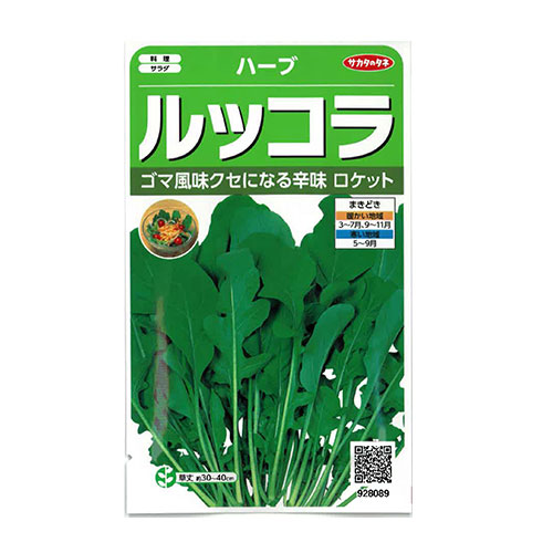 サカタのタネ　ルッコラ ロケット