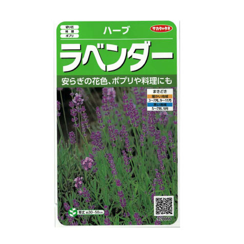 サカタのタネ　ラベンダー