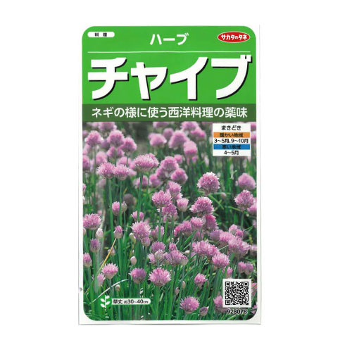 サカタのタネ　チャイブ