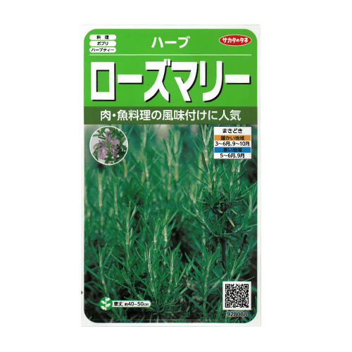 サカタのタネ　ローズマリー