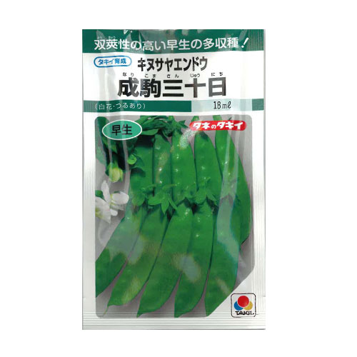 タキイ種苗　成駒三十日 キヌサヤエンドウ