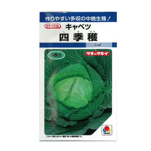 タキイ種苗　四季穫 キャベツ