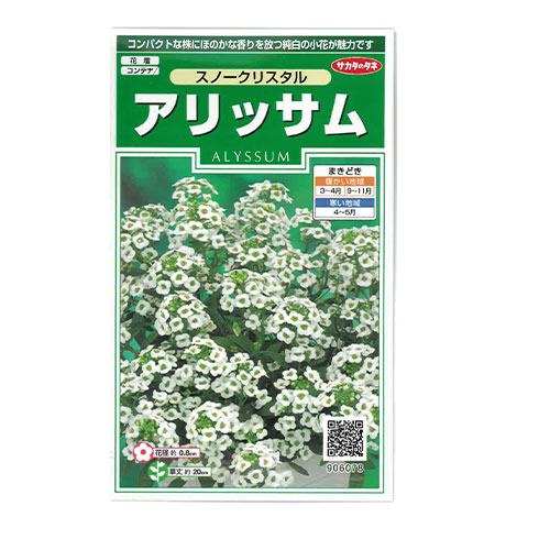アリッサム　スノークリスタル