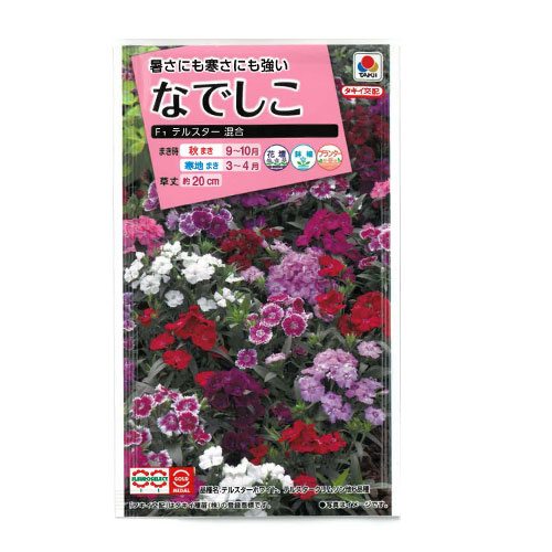 なでしこ　テルスター 混合