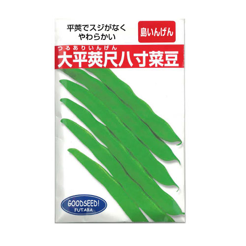 フタバ種苗 大平莢尺八寸菜豆