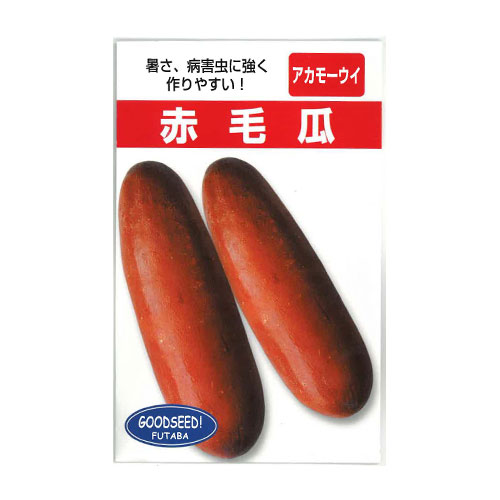 フタバ種苗 赤毛瓜