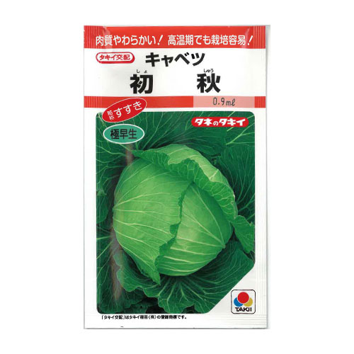 タキイ種苗 初秋 キャベツ