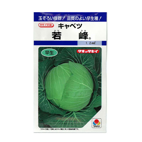 タキイ種苗 若峰 キャベツ