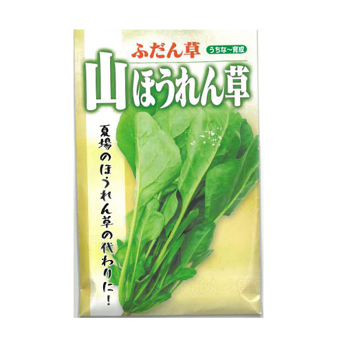 フタバ種苗 山ほうれん草
