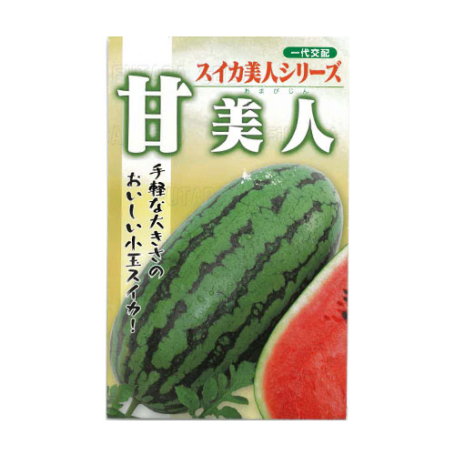 フタバ種苗 甘美人 スイカ