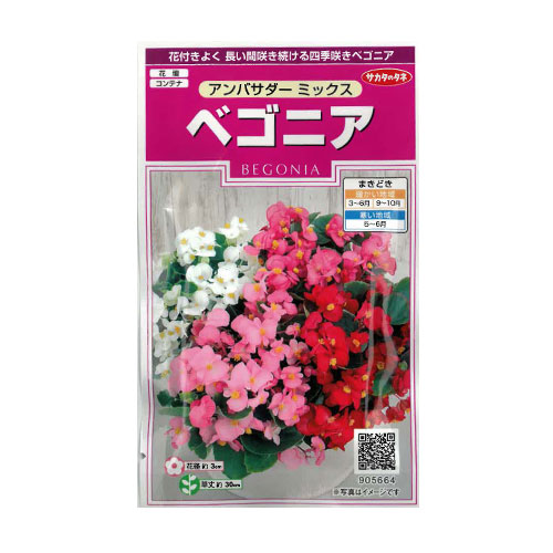ベゴニア アンバサダーミックス