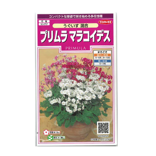 プリムラマラコイデス うぐいす混合