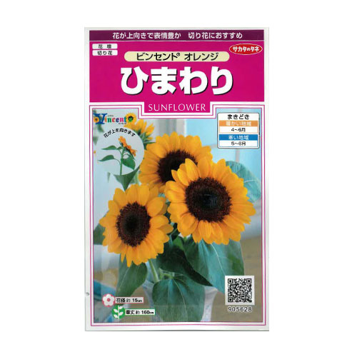 ひまわり ビンセントオレンジ