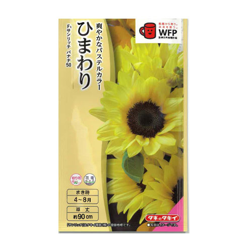 ひまわり サンリッチバナナ50