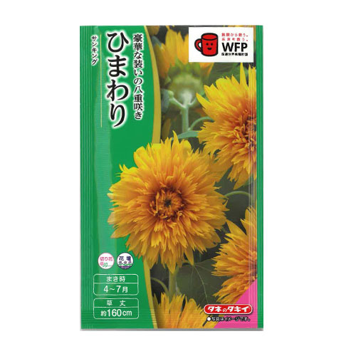 ひまわり サンキング