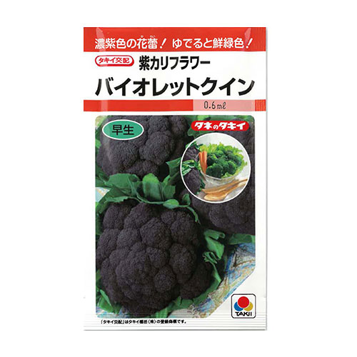 タキイ種苗 バイオレットクイン 紫カリフラワー