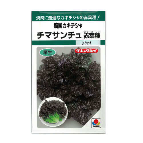 タキイ種苗 チマサンチュ 赤葉種