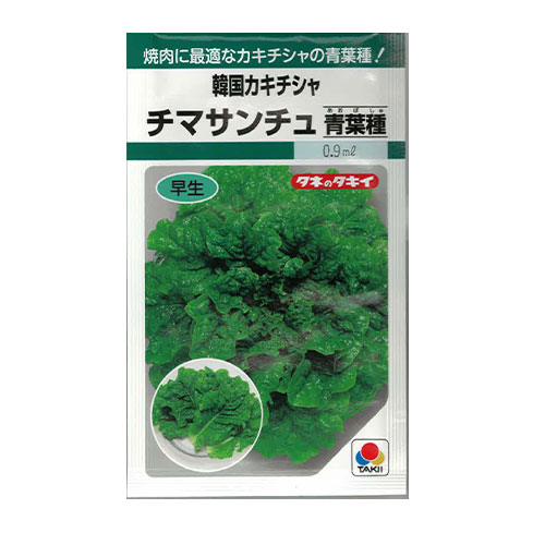 タキイ種苗 チマサンチュ 青葉種