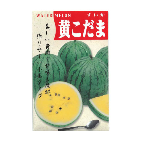 橿原農園 黄こだま スイカ
