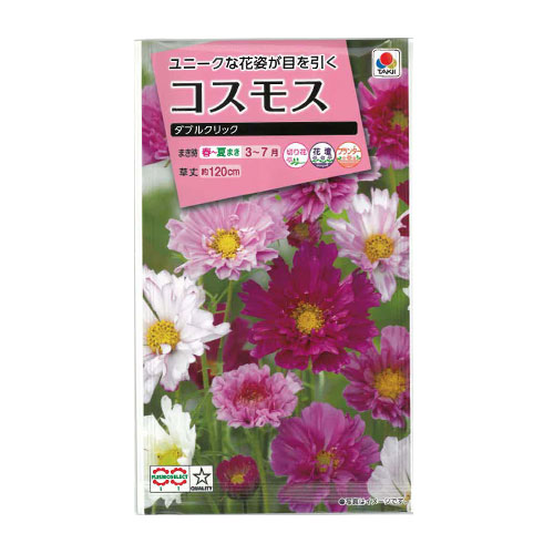 コスモス ダブルクリックT