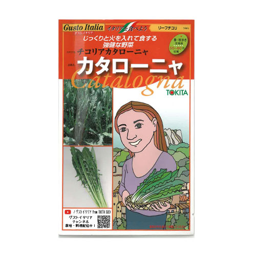トキタ種苗 カタローニャ チコリア