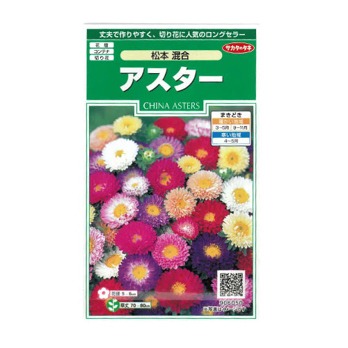 アスター 松本混合