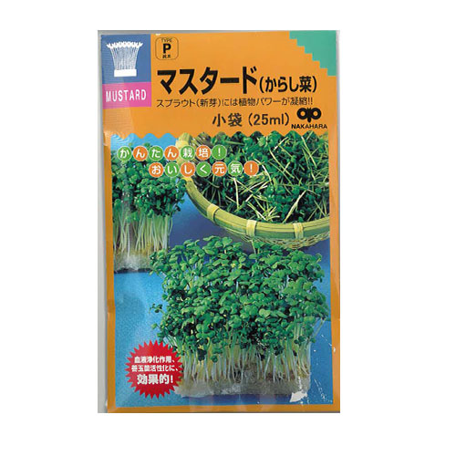 中原採種場　マスタード スプラウト