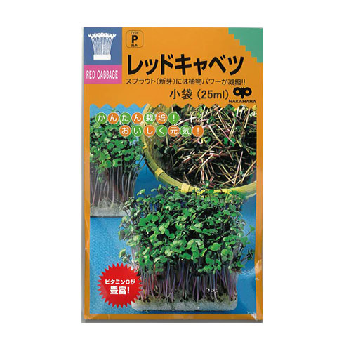 中原採種場　レッドキャベツ スプラウト