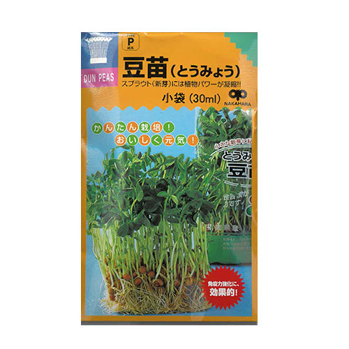 中原採種場　豆苗 スプラウト