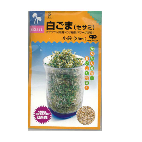 中原採種場　白ごま スプラウト