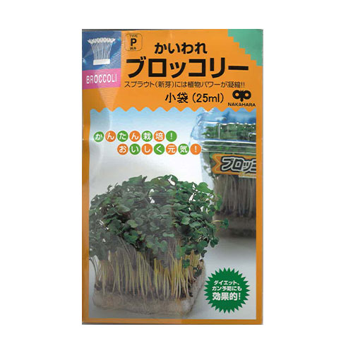 中原採種場　かいわれ大根 スプラウト