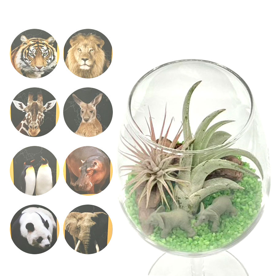 【送料無料】サファリクリエ－ター