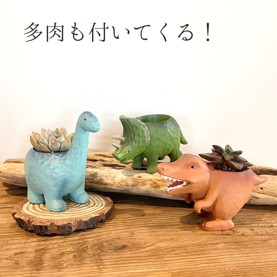 【送料無料】リトルレジンポット 恐竜シリーズ+多肉セット