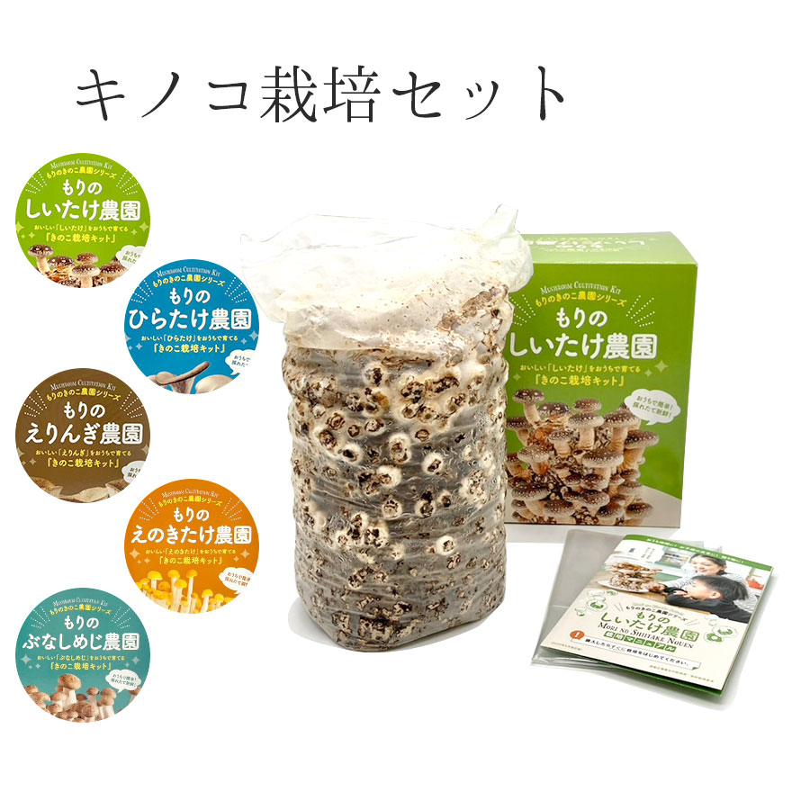 【送料無料】もりのきのこ農園