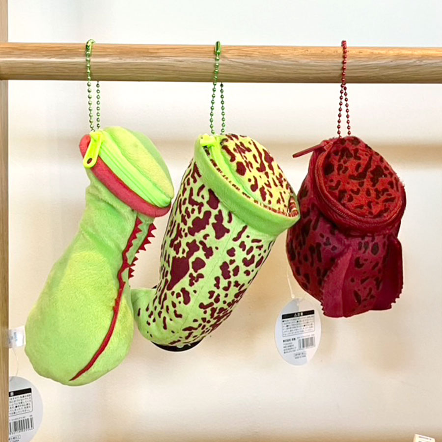 【送料無料】ウツボカズラ キーチェーン