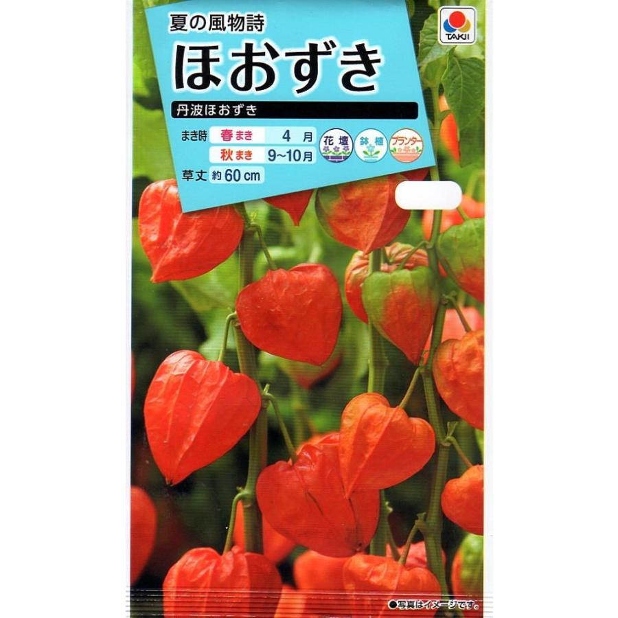 丹波ほおずき